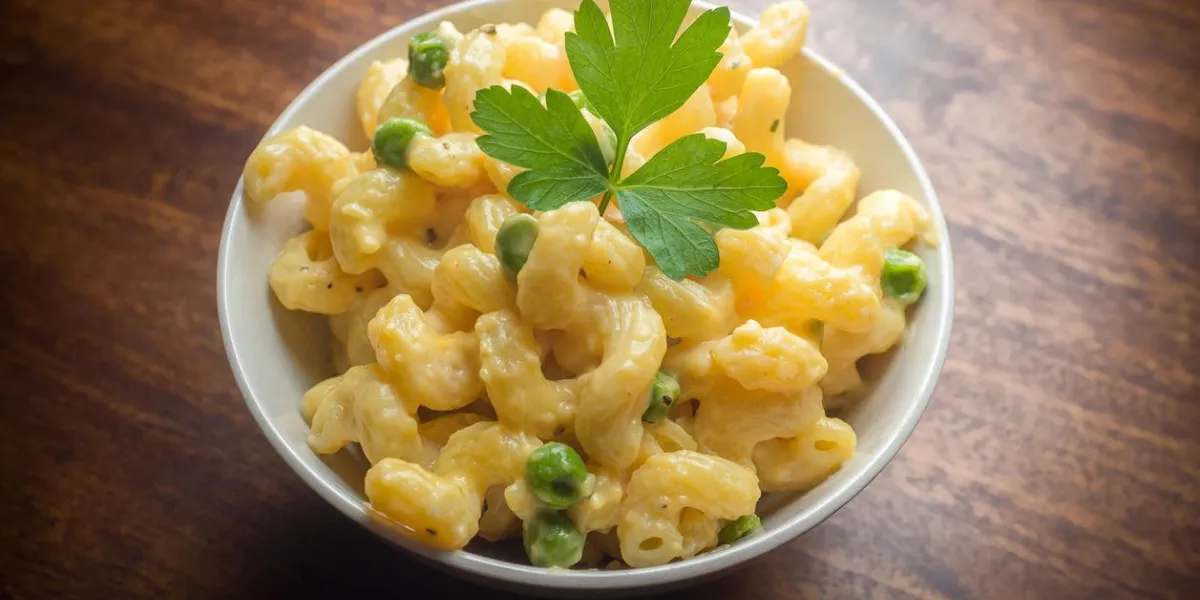 délicieux macaroni au cheddar avec une branche de persil délicieux macaroni au cheddar avec une branche de persil