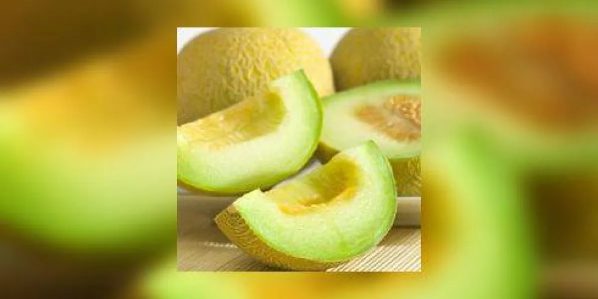 cantaloup cantaloup