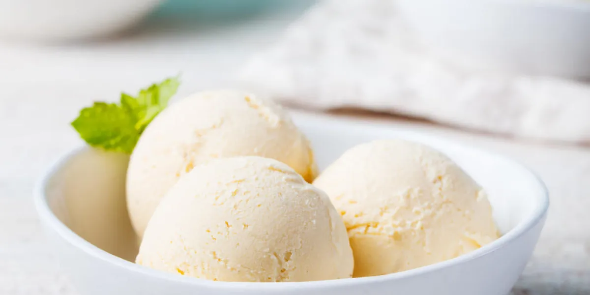 crème glacée à la vanille et à la menthe dans un bol produit bio vanille crème glacée à la menthe dans un bol produit bio vanille glace à la menthe dans un bol produit bio crème glacée à la vanille et à la menthe dans un bol produit bio vanille crème glacée à la menthe dans un bol produit bio vanille glace à la menthe dans un bol produit bio