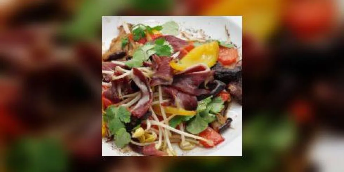 filet de magret de canard