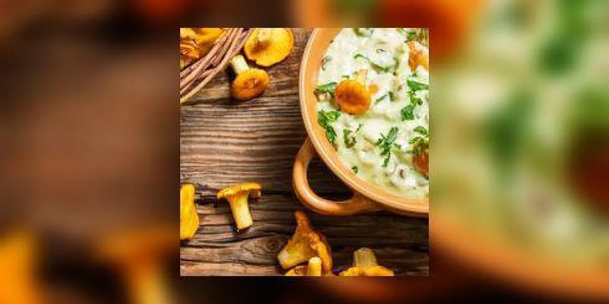 chanterelles à la crème et au persil sont dans la forêt chanterelles à la crème et au persil sont dans la forêt