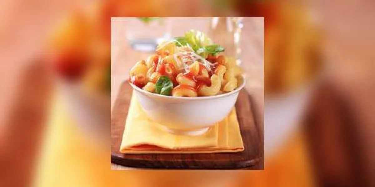 bol de macaroni à la sauce tomate et au fromage bol de macaroni à la sauce tomate et au fromage