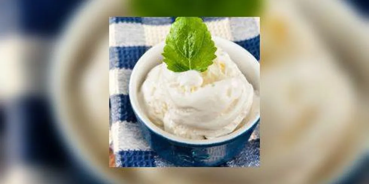 glace à la vanille blanche avec closeup menthe verte glace à la vanille blanche avec closeup menthe verte
