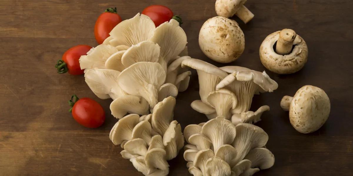 high resolution image of oyster mushroom ,button mushroom and baby tomatoes shot in studio over brown wooden background