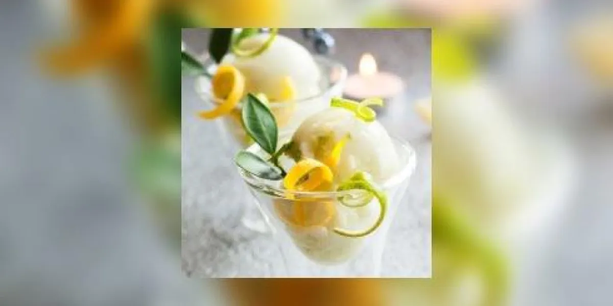 glace au citron et citron vert pour le dîner de noël glace au citron et citron vert pour le dîner de noël