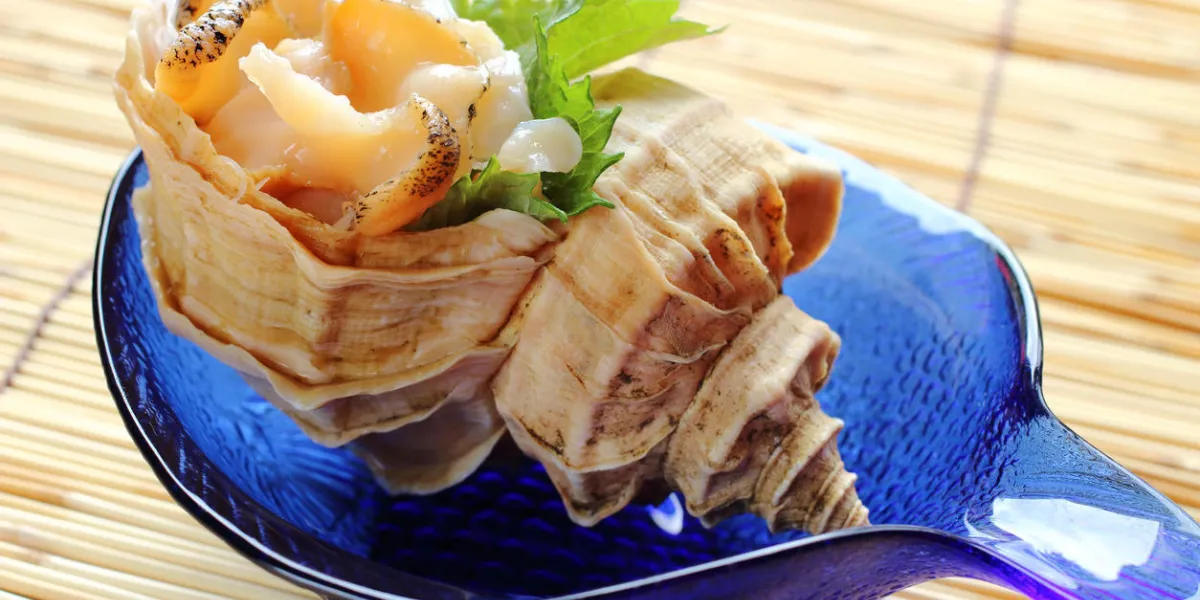 cuisine japonaise cuisine japonaise