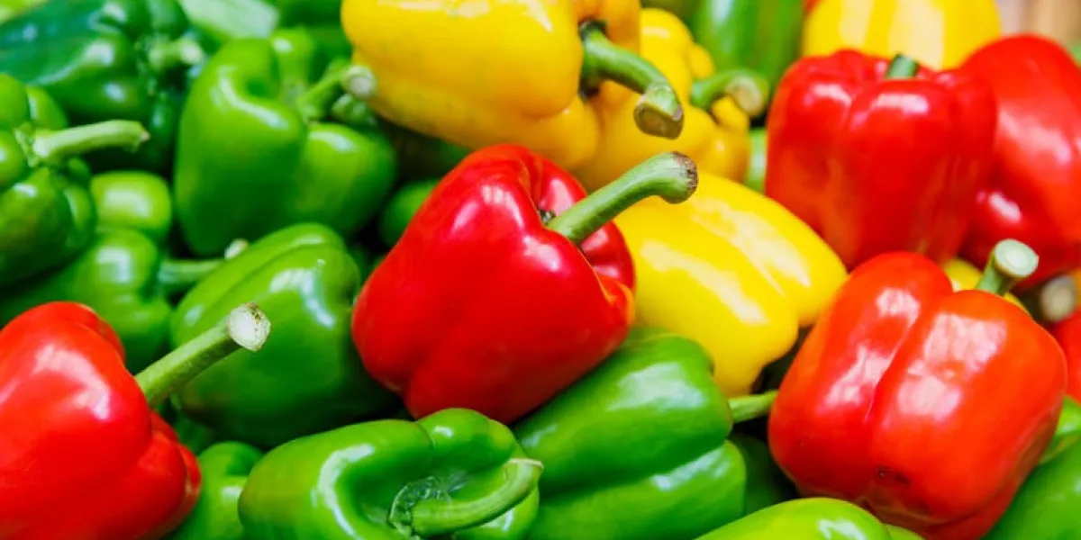 légumes frais trois rouges doux, jaunes, poivrons verts légumes frais trois rouges doux, jaunes, poivrons verts